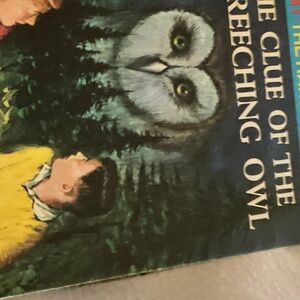 The Clue of the Screeching Owl Book